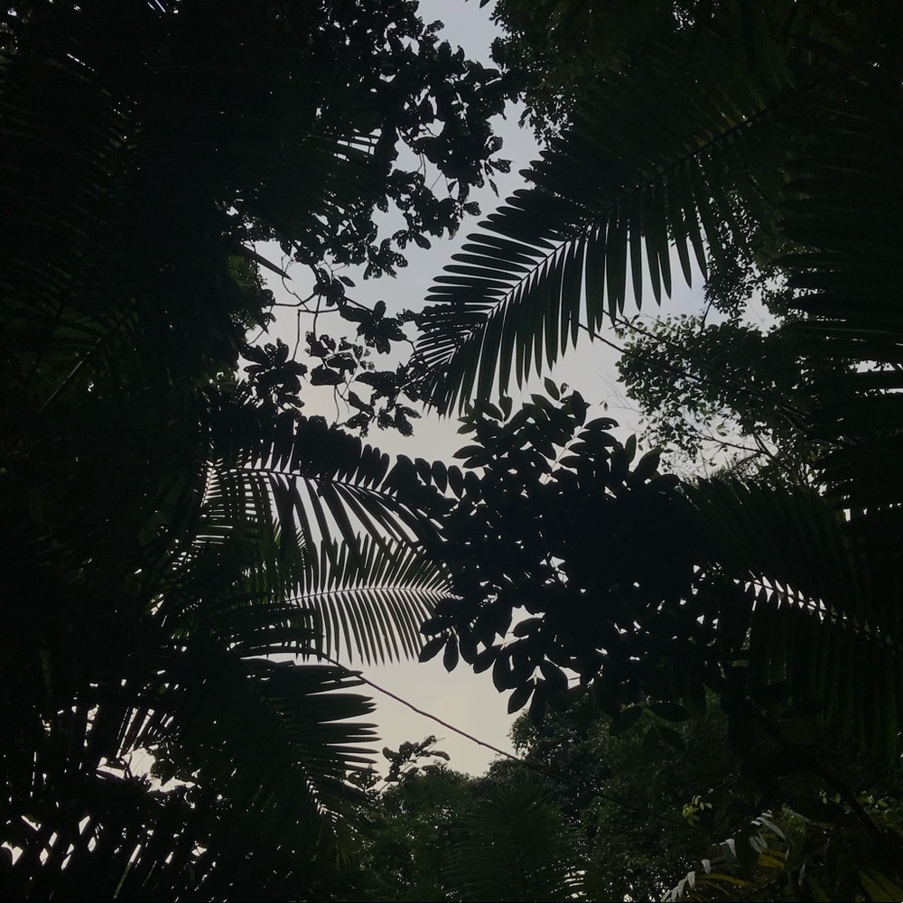 Meet your Posher, Maya